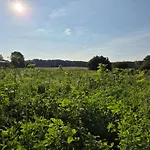 Gemuetliche In Seenaehe *
