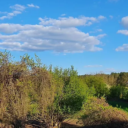 Gemuetliche In Seenaehe *