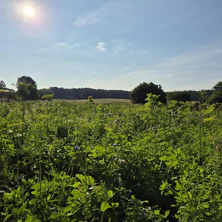 Gemuetliche In Seenaehe *